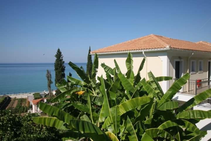 Miloni Apartament *