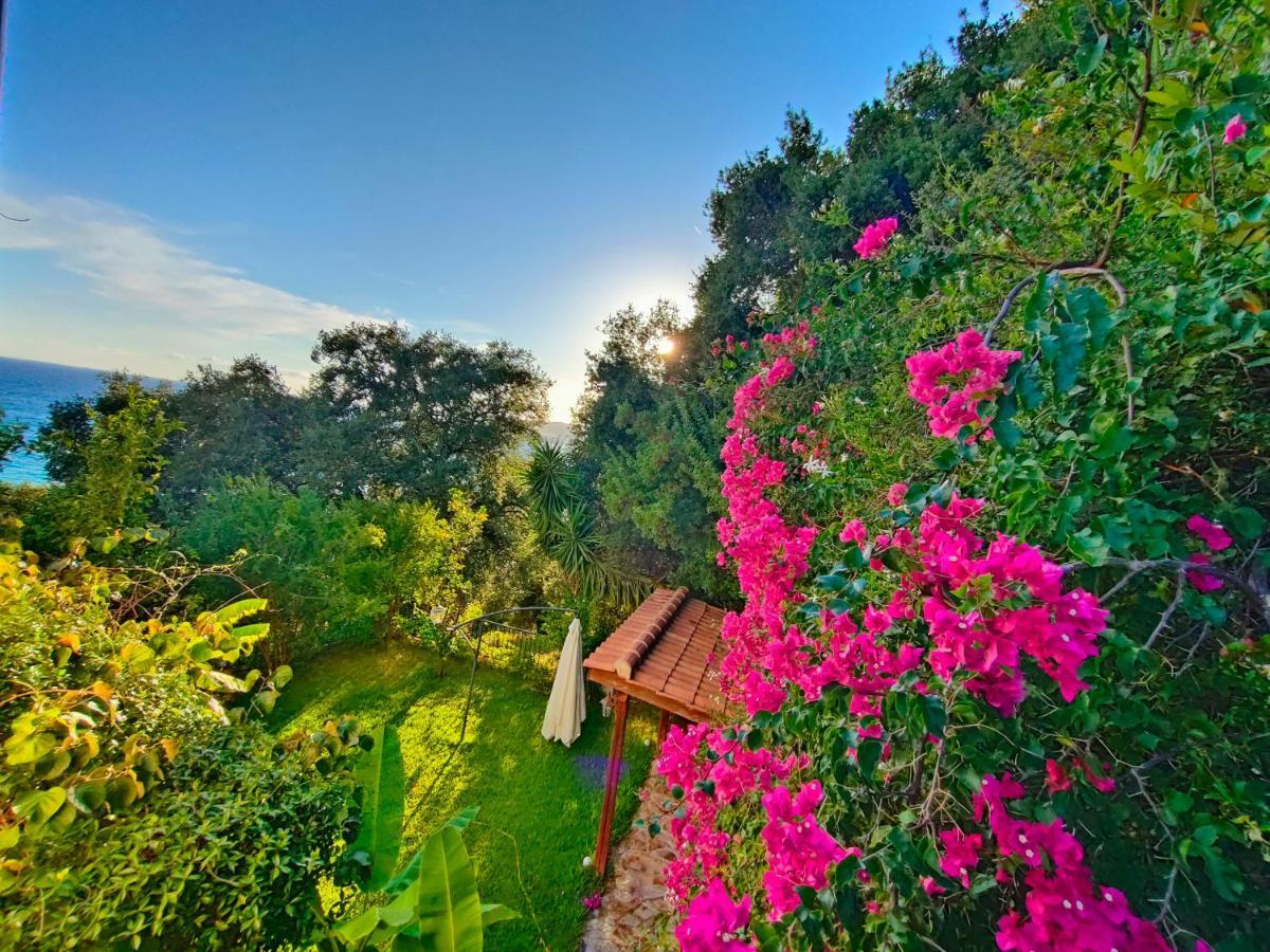 Apartment Miloni