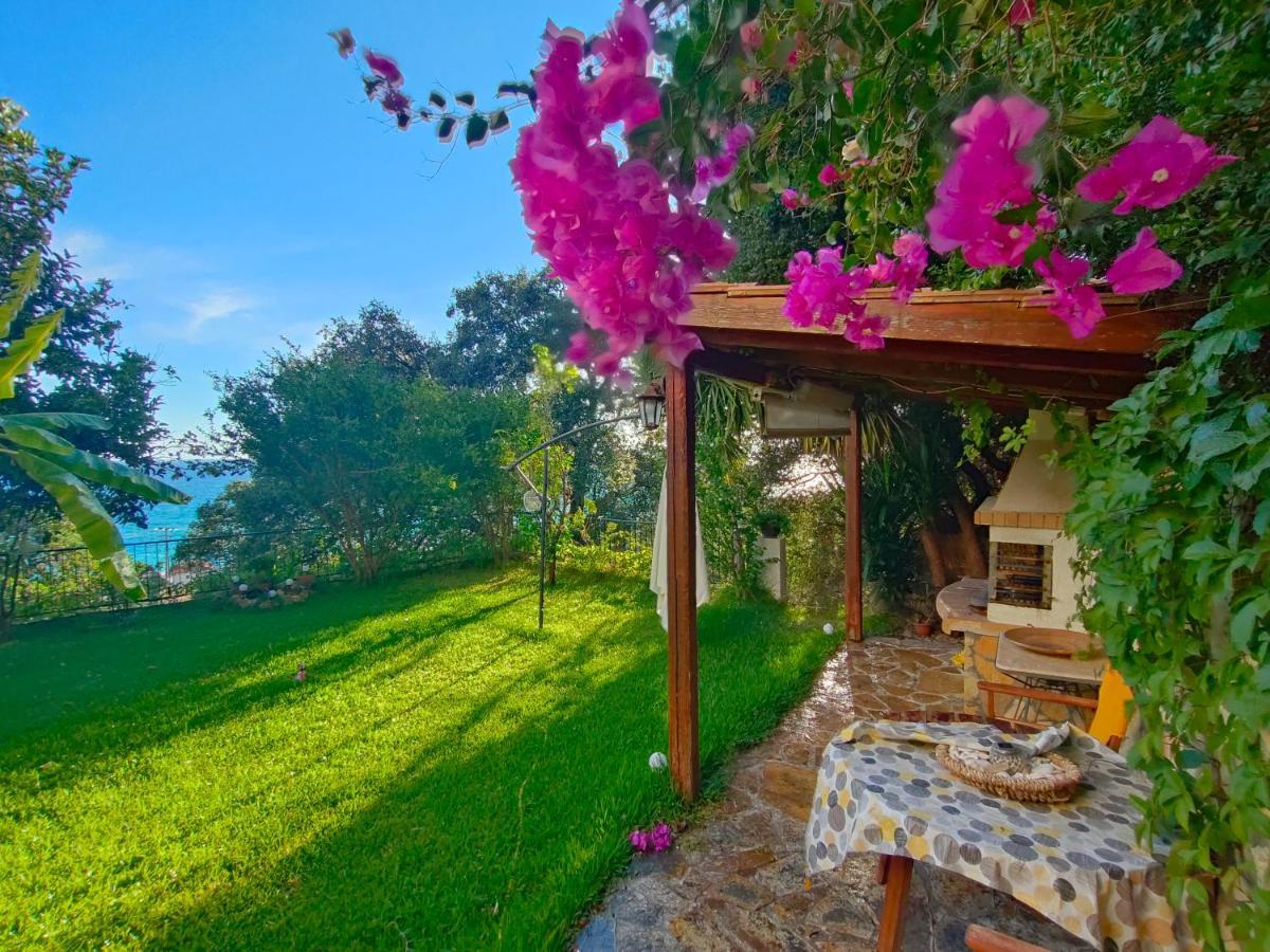 Miloni Appartement